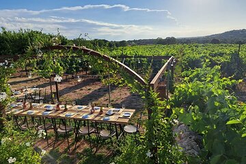 degustazioni in cantina piemonte